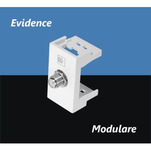 Mod-Tom-0109-Ant-TV-Evidence-Fame