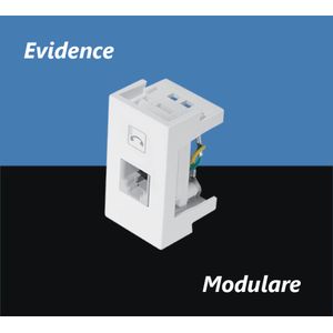Mod-Tom-0499-Telef-RJ11-Evidence-Fame